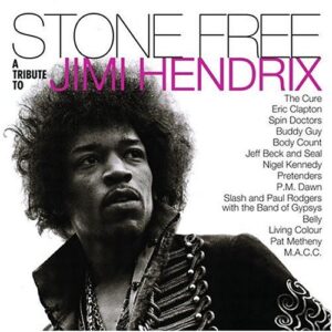 album art for CD Stone Free Tribute To Jimi Hendrix (Clapton, Beck, Seal)